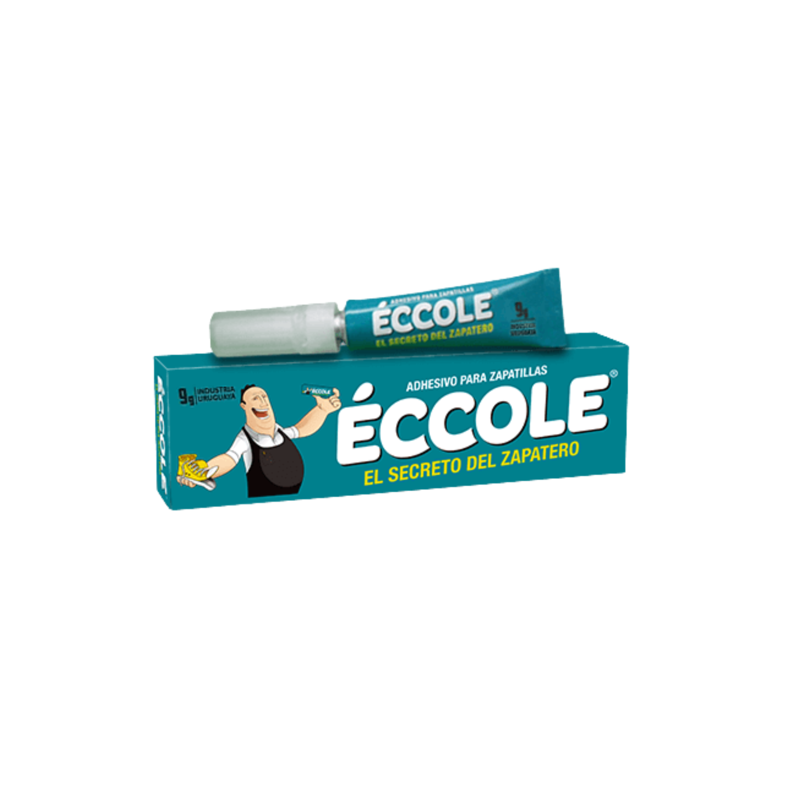 Eccole